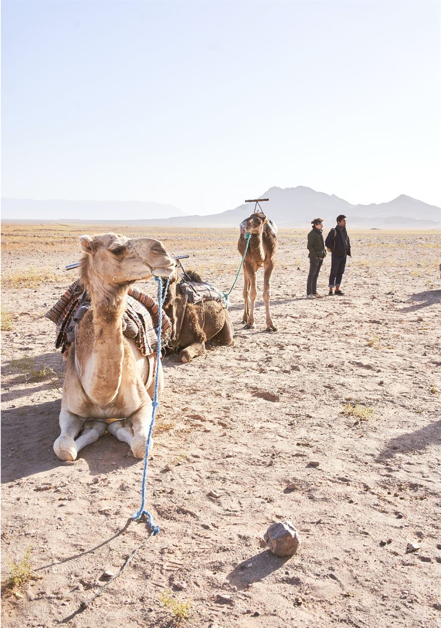 2 Days in Desert M’hamid El Ghizlaine