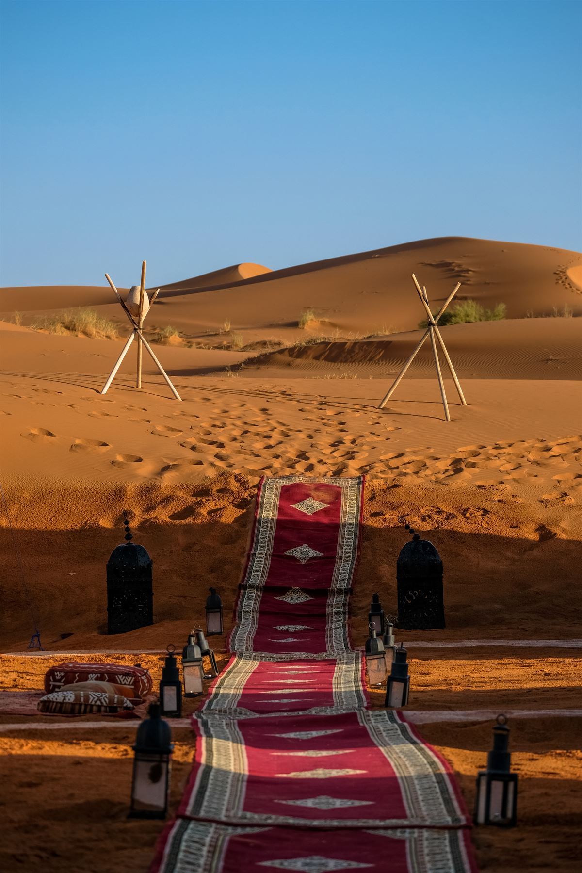 Dunes Discovery: 6 days Camel Trek and Walk
